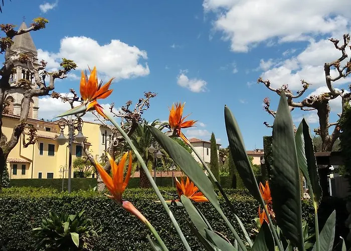 Roma